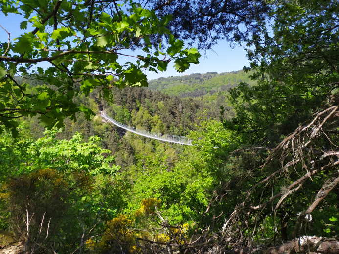 Vue sur la Passerelle des Gorges du Lignon depuis le sentier d'accès du Belvédère
